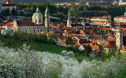 Hotel Paris Prague - image 4