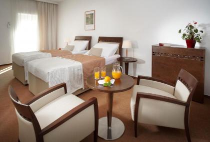 Clarion Hotel Prague Old Town - image 9