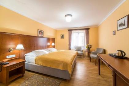 Hotel Cerny Slon - image 12