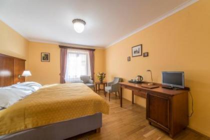 Hotel Cerny Slon - image 13