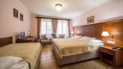 Hotel Cerny Slon - image 15