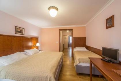 Hotel Cerny Slon - image 16