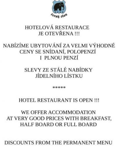 Hotel Cerny Slon - image 2