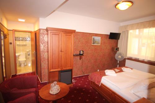 Old Prague Hotel - image 6