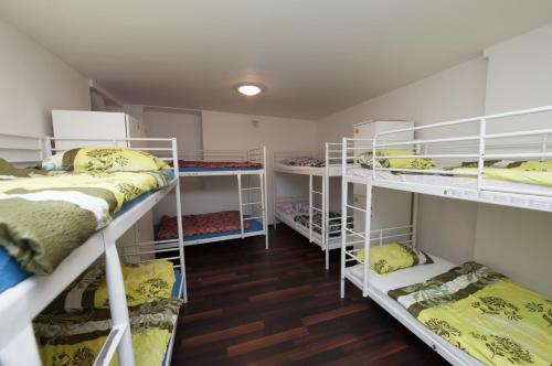 Backpacker Hostel - image 6