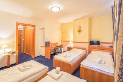 Prague Hotel Carl Inn Free Parking - image 10