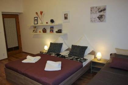 Spacious Prague View Apartment - image 11