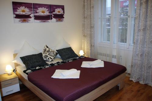 Spacious Prague View Apartment - image 7