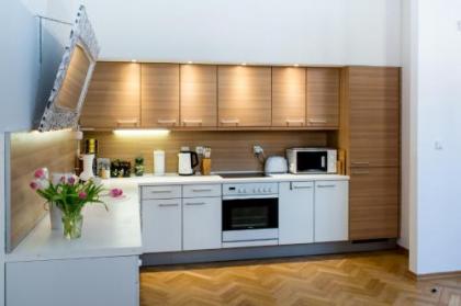 Luxury Apartment Maiselova - image 9