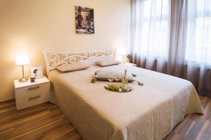 Apartment Za Poricskou branou - image 14